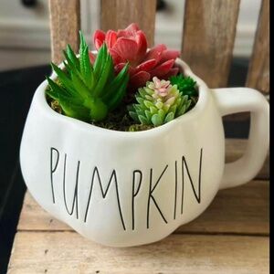 Rae Dunn Pumpkin Mug Succulent Garden